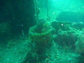 Wallaroo Scuba Club - St Kilda Accommodation 0