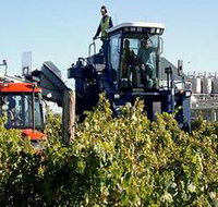 Ballast Stone Estate Wines Pty Ltd - St Kilda Accommodation