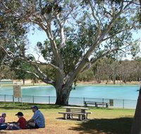 Naracoorte Nature Park and Swimming Lake - St Kilda Accommodation