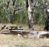 Penola Conservation Park - St Kilda Accommodation