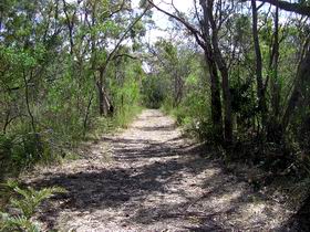 Wendy's Walk - St Kilda Accommodation 0