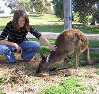 Pendleton Farmstay - St Kilda Accommodation