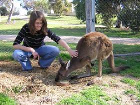 Pendleton Farmstay - St Kilda Accommodation 0