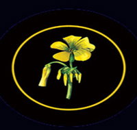 Battle of Bosworth Wines - St Kilda Accommodation