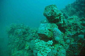 Adelaide's Underwater Heritage Trail - St Kilda Accommodation 0
