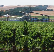 Kirrihill Wines - St Kilda Accommodation