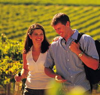 Lady Bay Vineyard - St Kilda Accommodation