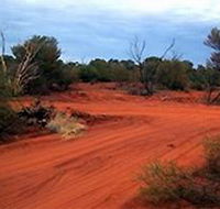 Tallaringa Conservation Park - St Kilda Accommodation