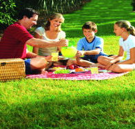 Bruny Island Berry Farm - St Kilda Accommodation