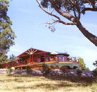 Barringwood Park Vineyard - St Kilda Accommodation