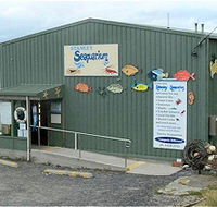 Stanley Seaquarium - St Kilda Accommodation