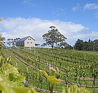 Bruny Island Premium Wines Bar and Grill - St Kilda Accommodation