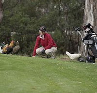 Tasmania Golf Club - The - St Kilda Accommodation