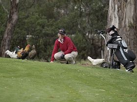 Tasmania Golf Club - The - St Kilda Accommodation 0
