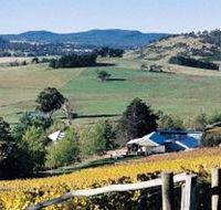 Freycinet Vineyards Pty Ltd - St Kilda Accommodation
