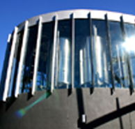 Moo Brew - St Kilda Accommodation