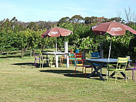 Cerise Brook Orchard & Family Golf - St Kilda Accommodation 0
