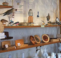 Touchwood Craft Gallery Gifts and Cafe - St Kilda Accommodation