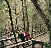 Franklin River Nature Trail - St Kilda Accommodation