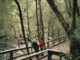 Franklin River Nature Trail - St Kilda Accommodation 0