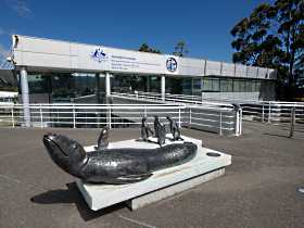 Australia's Antarctic Headquarters - St Kilda Accommodation 0