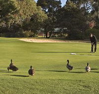 Royal Hobart Golf Club - St Kilda Accommodation