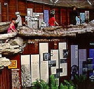 West Coast Visitor Information and Booking Centre - St Kilda Accommodation