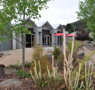 Tin Dragon Interpretation Centre and Cafe - St Kilda Accommodation