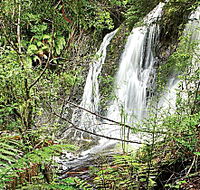 Hogarth Falls - St Kilda Accommodation