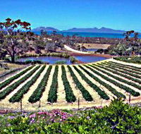 Kate's Berry Farm - St Kilda Accommodation