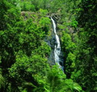 Kondalilla National Park - St Kilda Accommodation