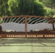 Tasmanian Bushland Garden - St Kilda Accommodation