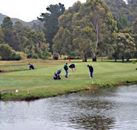 Penguin Golf Course - St Kilda Accommodation