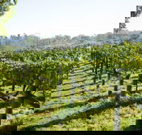 Surveyor's Hill Vineyards - St Kilda Accommodation