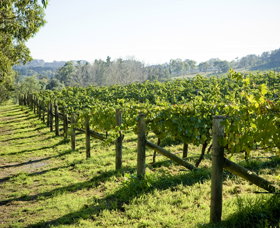 Surveyor's Hill Vineyards - St Kilda Accommodation 0