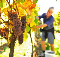 Native Point Wines - St Kilda Accommodation