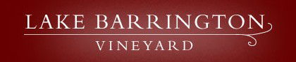 Lake Barrington Estate Vineyard - St Kilda Accommodation 0