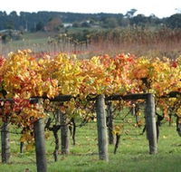Apsley Gorge Vineyard - St Kilda Accommodation