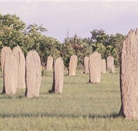 Magnetic Termite Mounds - St Kilda Accommodation