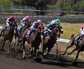Alice Springs Turf Club - St Kilda Accommodation 0