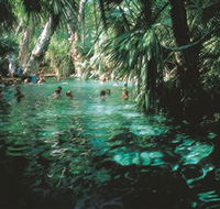 Mataranka Thermal Pool - St Kilda Accommodation