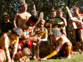 Riverlife Mirrabooka - St Kilda Accommodation 0