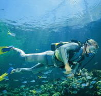Kirra Reef Dive Site - St Kilda Accommodation