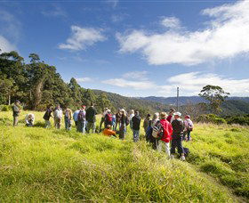 Apple Tree Park - St Kilda Accommodation 0