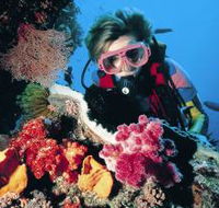 Cook Island Dive Site - St Kilda Accommodation