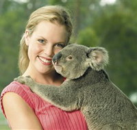 Paradise Country Aussie Farm Tour - St Kilda Accommodation