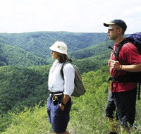 Sunshine Coast Hinterland Great Walk - St Kilda Accommodation