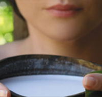 Ikatan Day Spa - St Kilda Accommodation