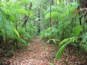 Delicia Road Conservation Park - St Kilda Accommodation 0