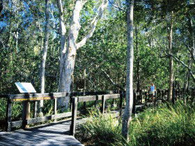 Noosa Heads QLD St Kilda Accommodation